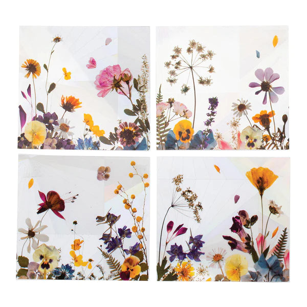 Scout Curated Wears Various Styles Vinyl Suncatcher Stickers