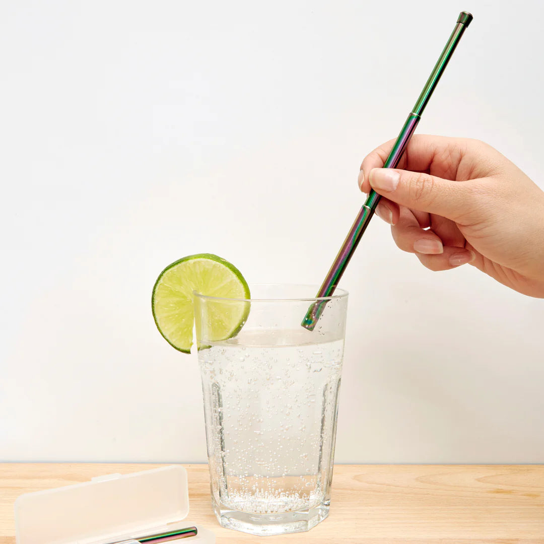 Iridscent Travel Straw Set