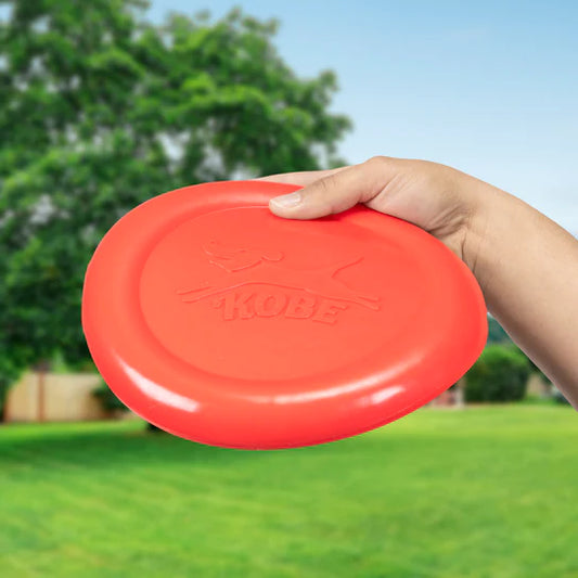 Bacon Scented Frisbee