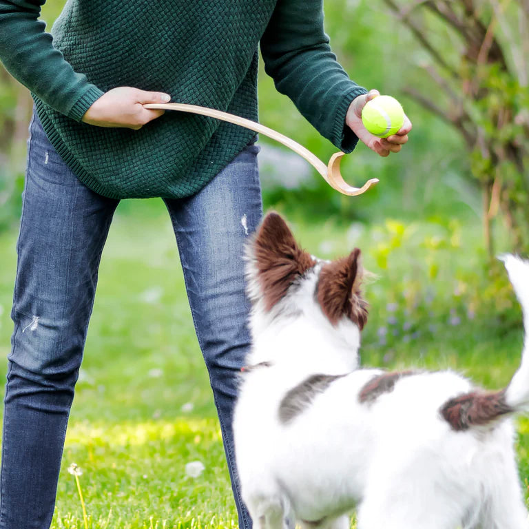 Wooden Ball Launcher