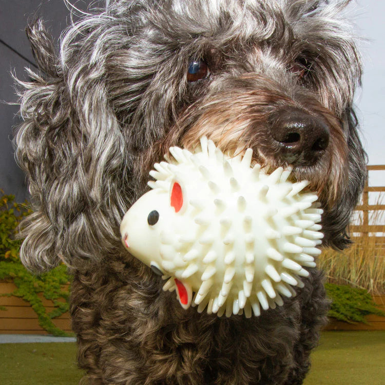 Kobe Sheep Dog Ball