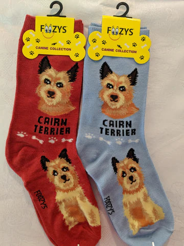Cairn Terrier Socks