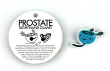 Load image into Gallery viewer, Prostate Lapel Pin - A Seminal Work!
