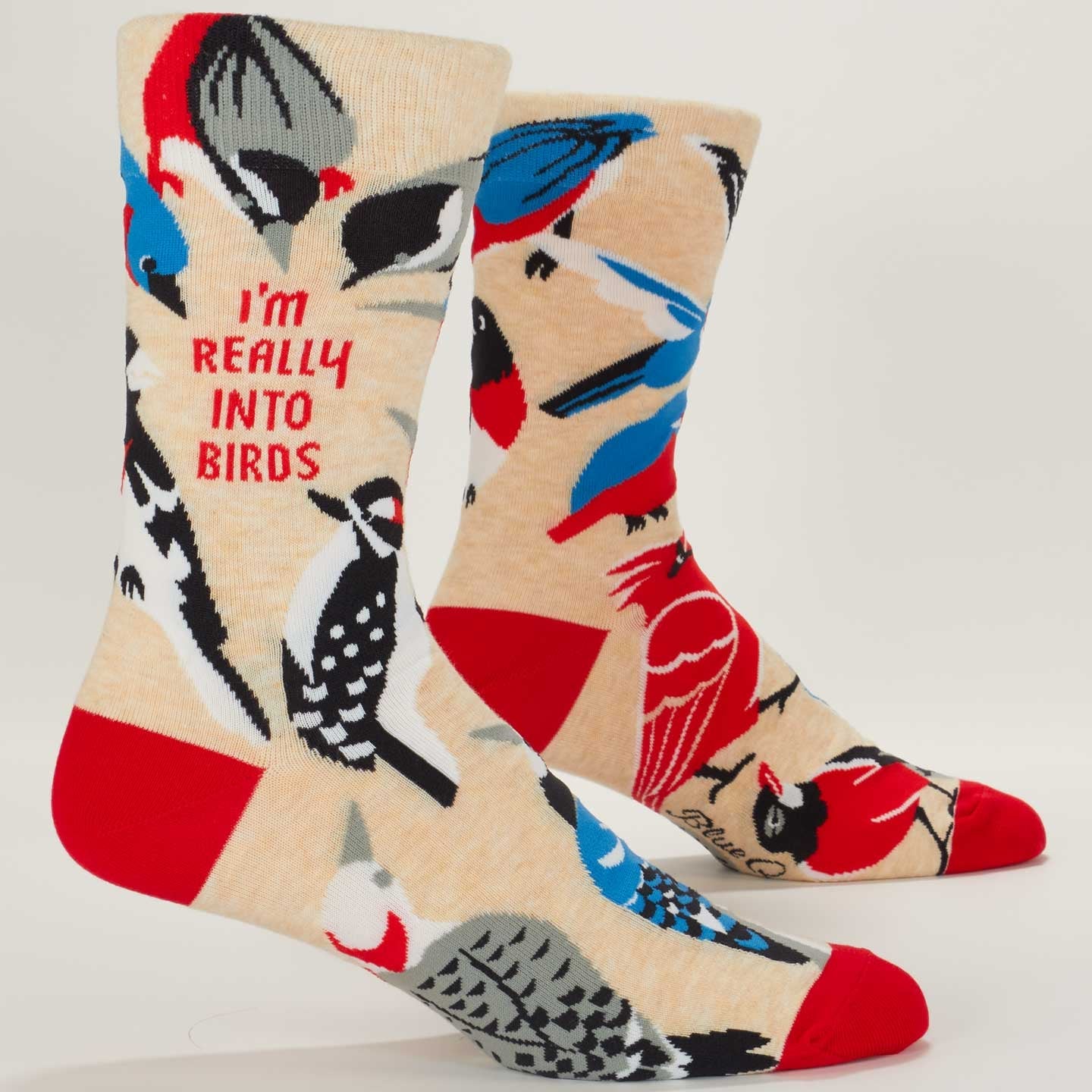 Really Into Birds Men's Socks