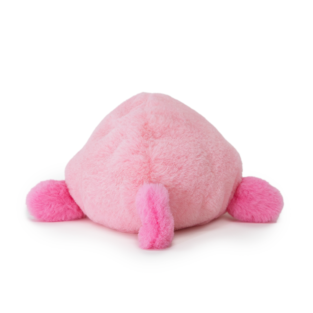 Side-eye Blobfish