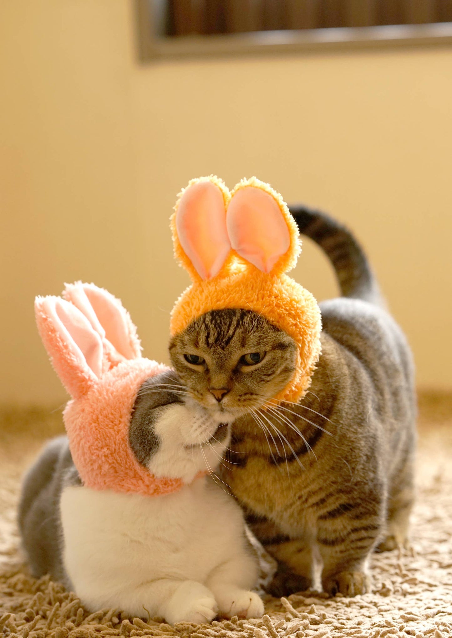 Kitan Club Cat Cap Blind Box - Rabbit