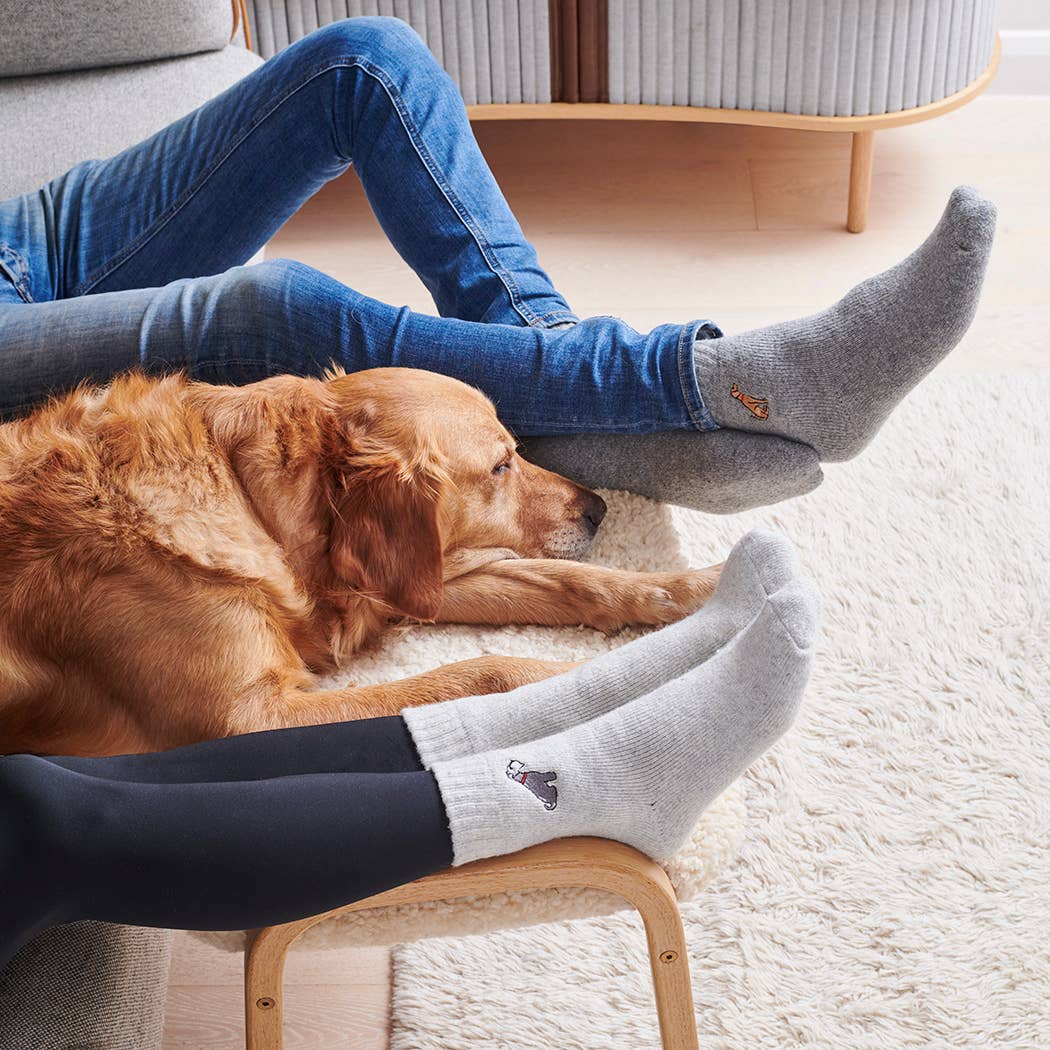 Dog Walking socks - Beagle