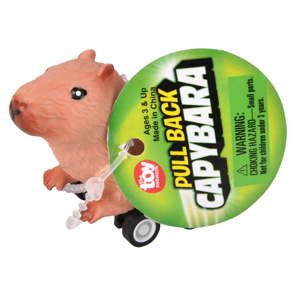 2.5" Pullback Capybara