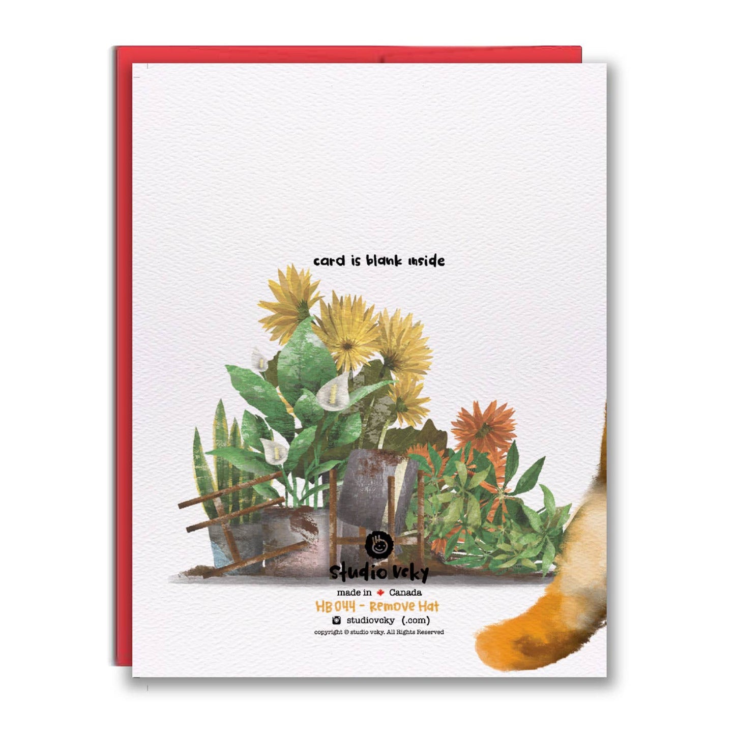 Greeting Card - Happy Congrats