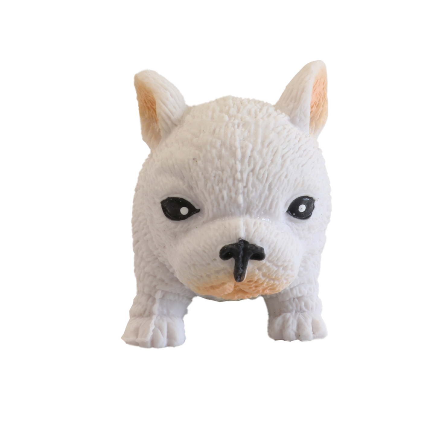 Stretchi Bulldog