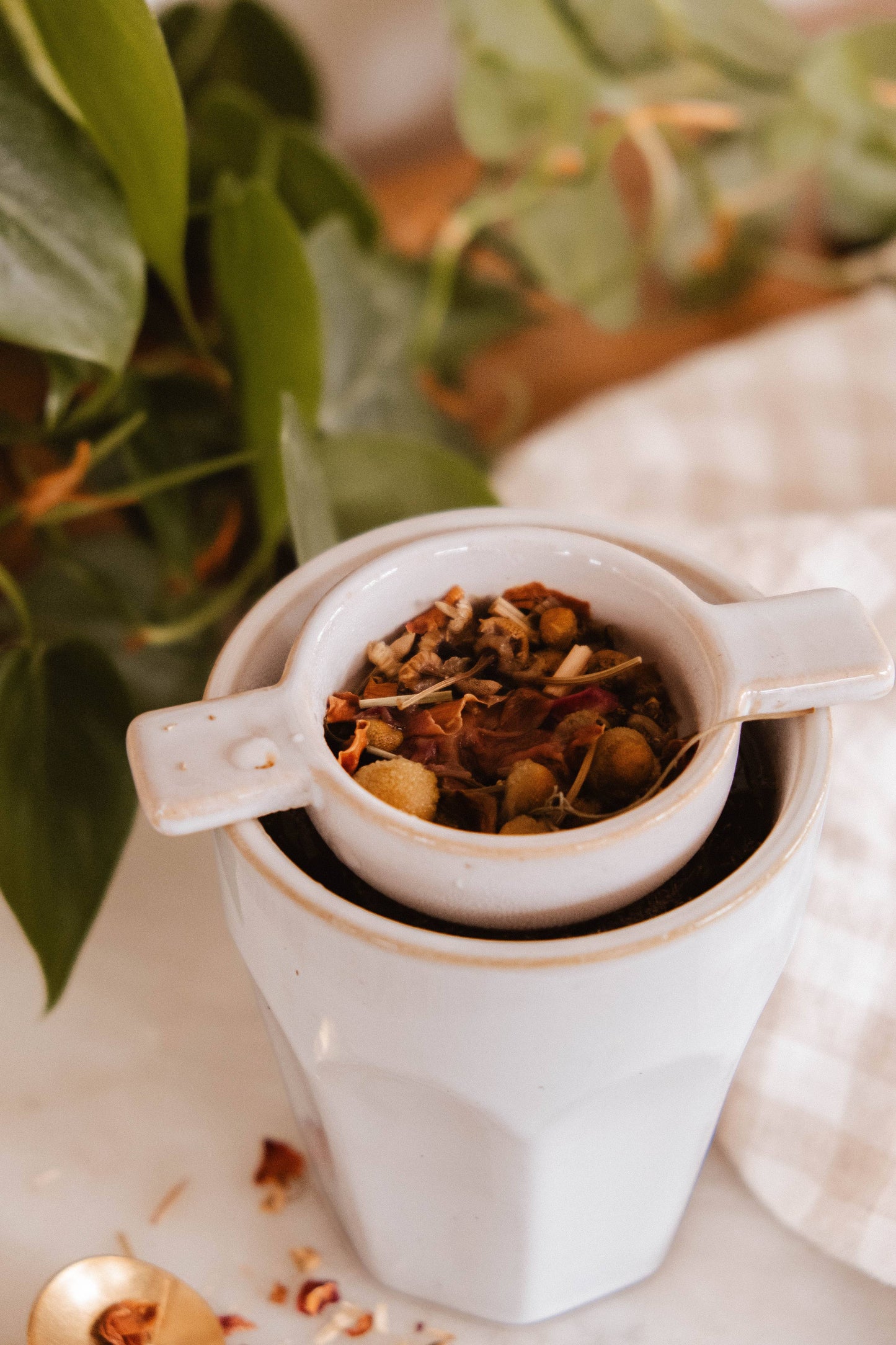 The Infusion Nest Ceramic Tea Strainer