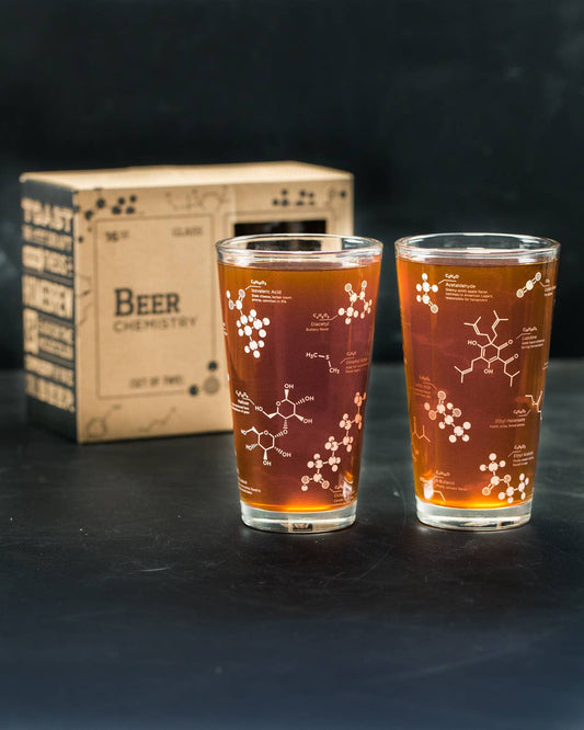 The Science of Beer Pint Glass