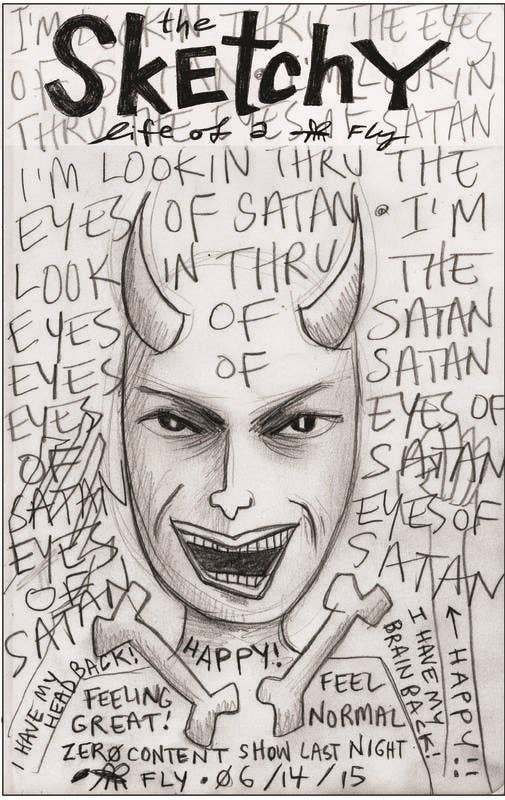 Sketchy Life of a Fly (Zine)