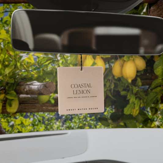 Coastal Lemon Hanging Air Freshener - Gifts