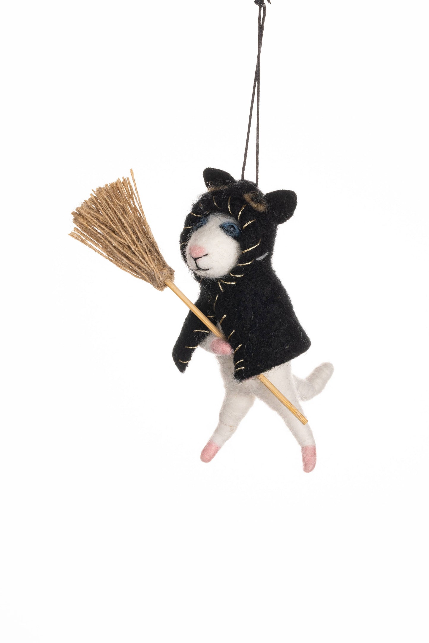 Black Cape Cat