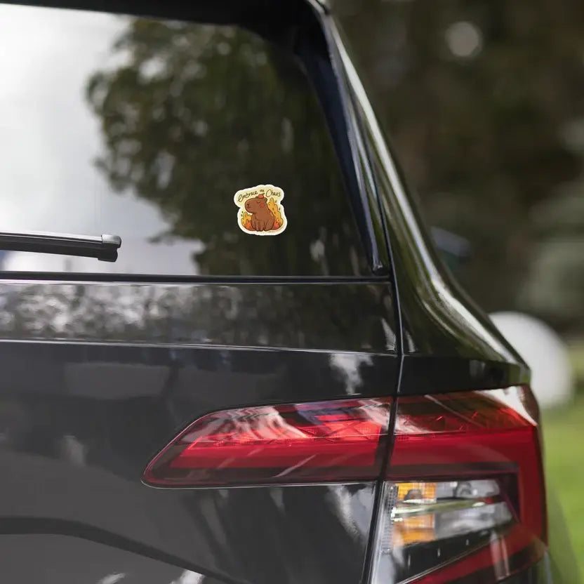 Embrace the chaos sticker