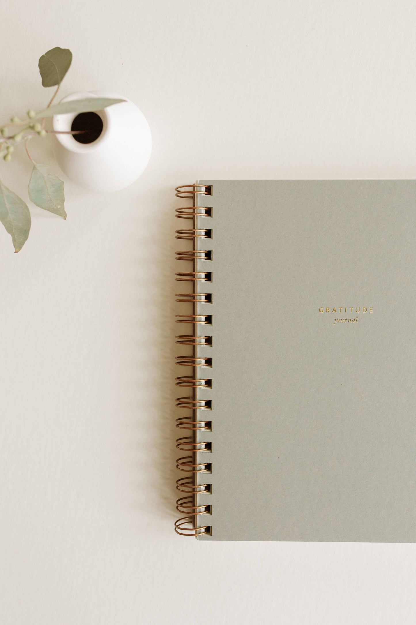 Mini Gratitude Journal