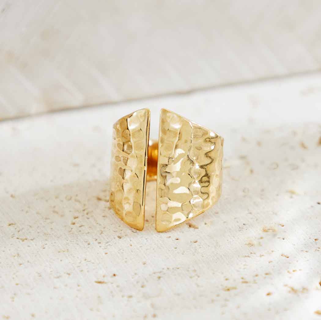 Sterling Silver or Bronze Adjustable Hammered Shield Ring