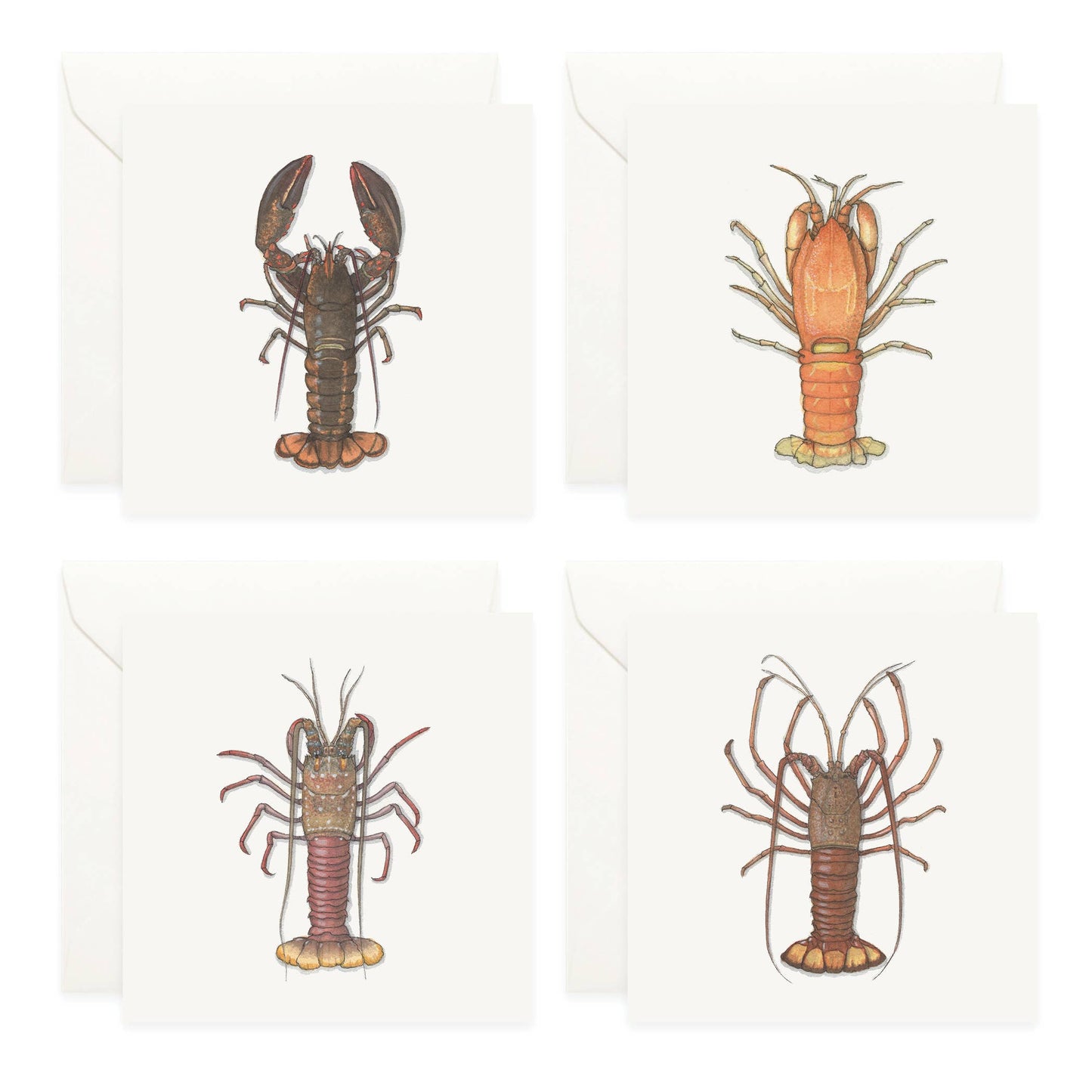 Lobsters Mini Card Assorted