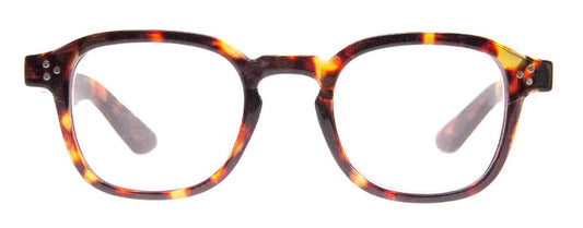 ACCEPTABLE - READING GLASSES