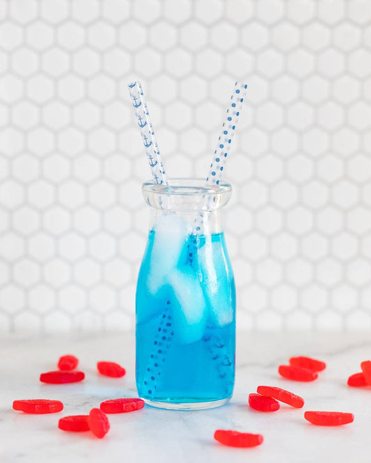 PLSS152 - Nautical Reusable Straws