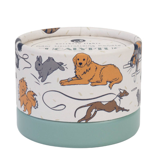 PawsON Pet Odor Neutralizing Candle
