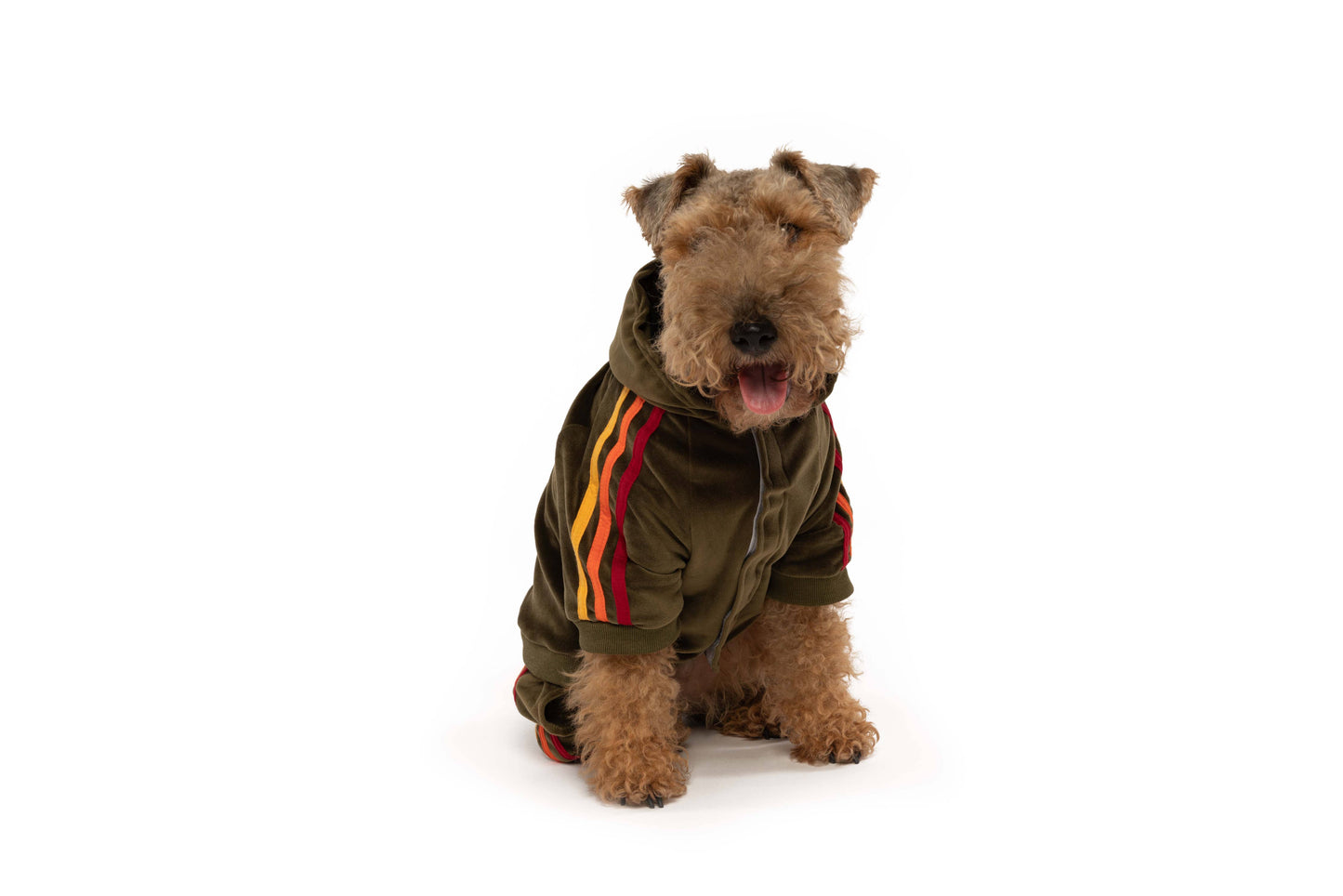 Olive Velour Dog Jogger