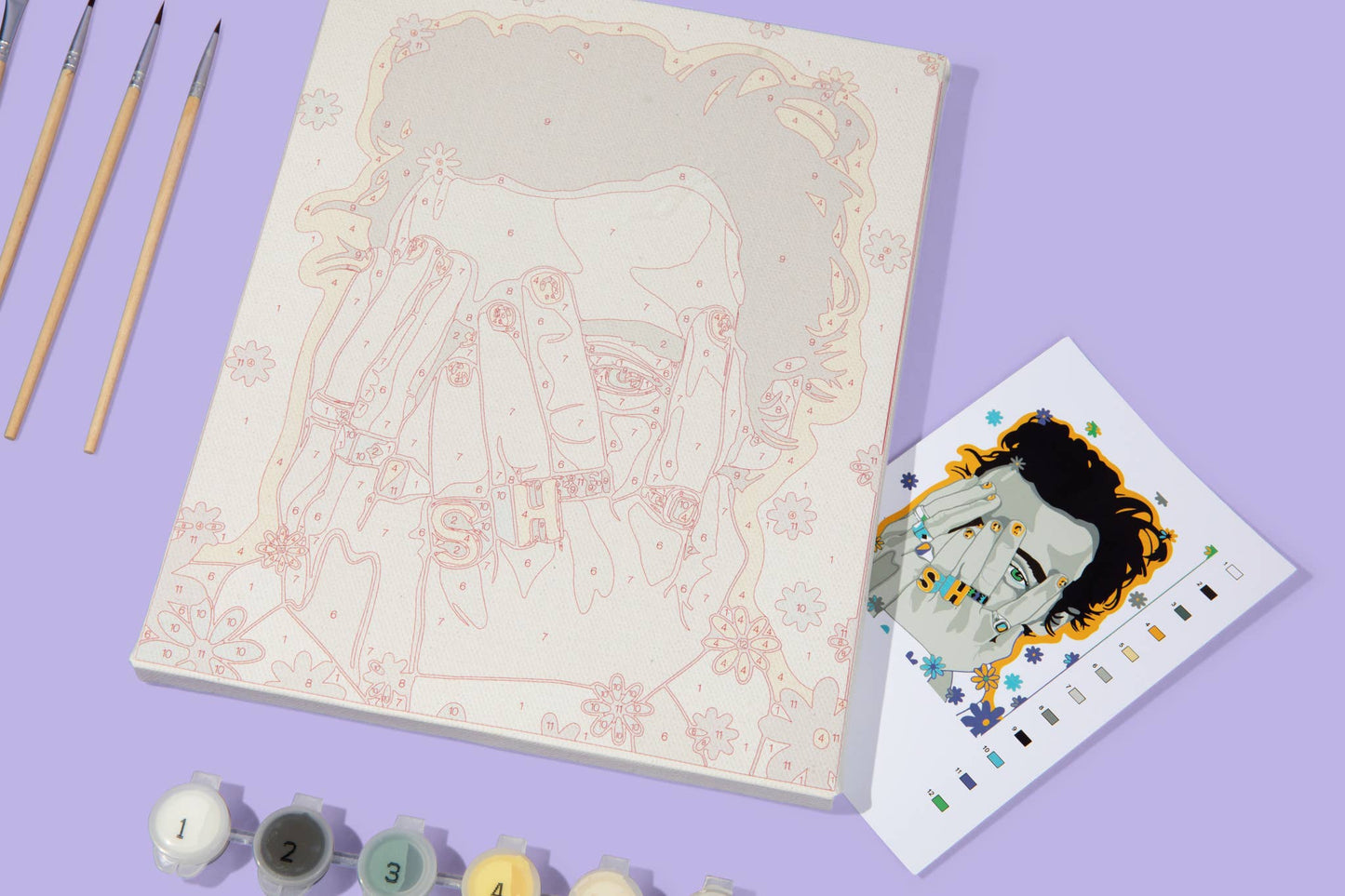 HS Paint By Numbers Kit