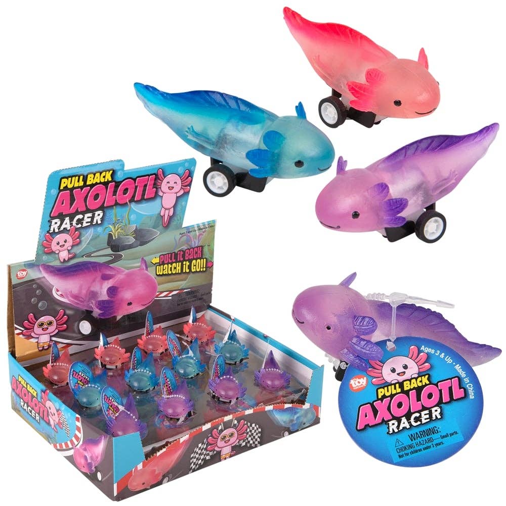 2.5" Pull Back Axolotl