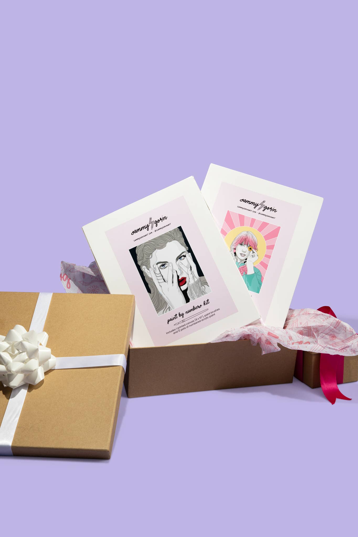 TS Paint By Numbers Kit