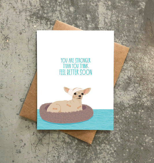 Feel Better Chihuahua Card