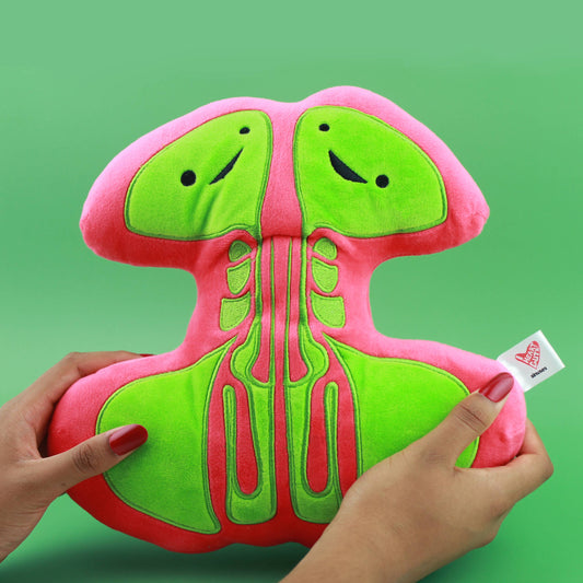 Sinus Plush - Breathing Buddies