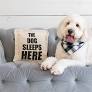 "Not Here" "And Here" Pillows