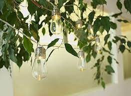 Lights Edison Bulb String