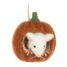 Mouse in Sm Pumpkin Ornament-4"H