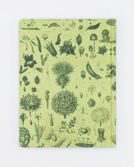 Plants & Fungi Hardcover Lined/Grid Page Notebook