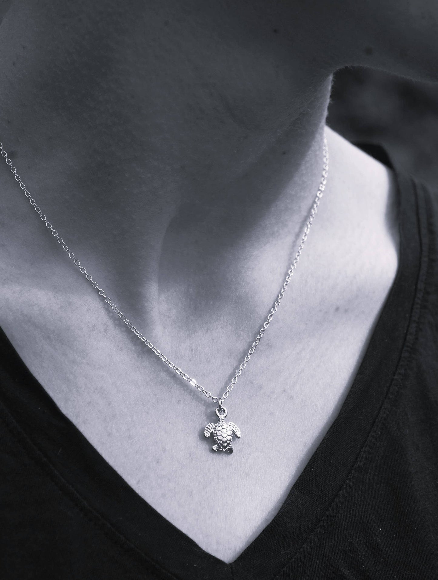 Sea Turtle Necklace - Silver Natural History