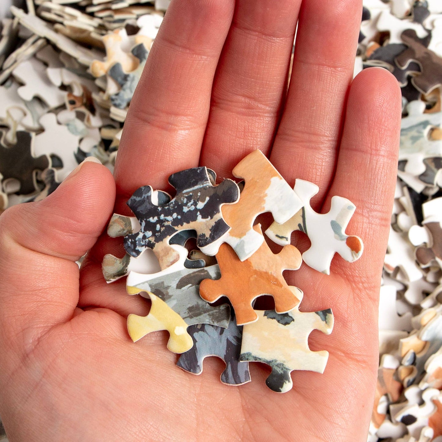 Furry Friends - 1,000 Piece Dog & Cat Jigsaw Puzzle