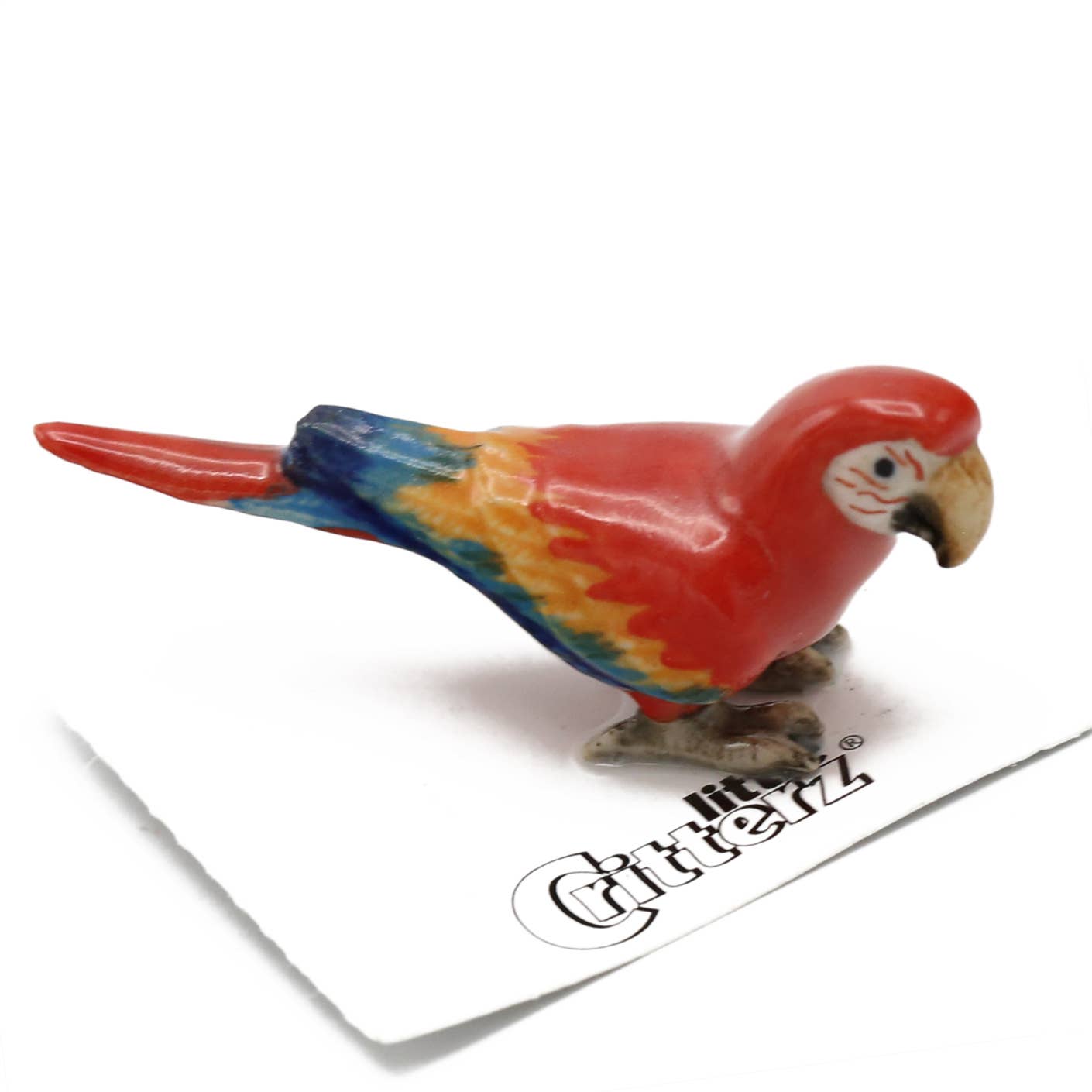 Scarlet Macaw Porcelain Miniature