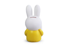 Load image into Gallery viewer, Atelier Pierre Miffy Coin Bank (Medium)
