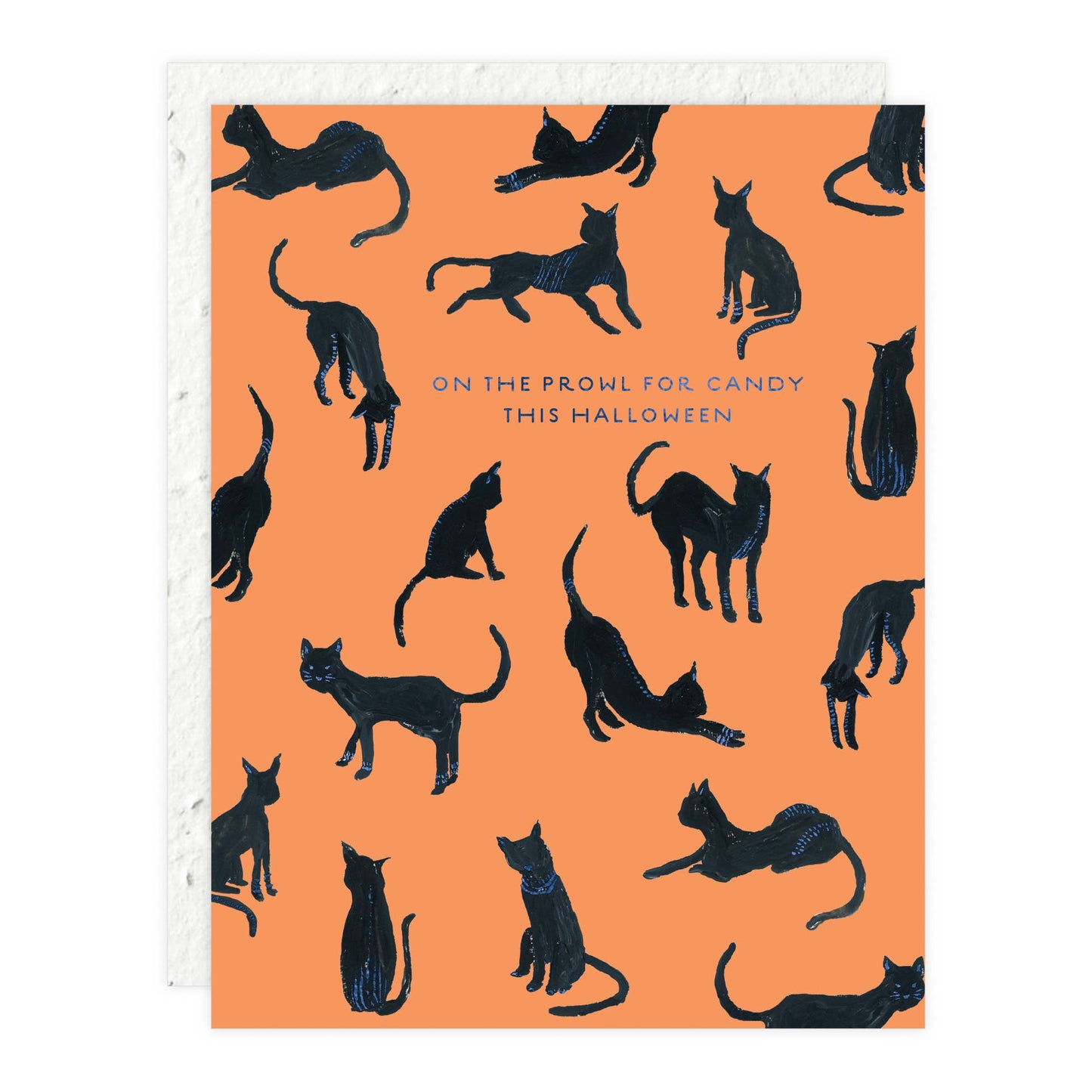 Black Cats - Halloween Card