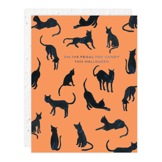 Black Cats - Halloween Card