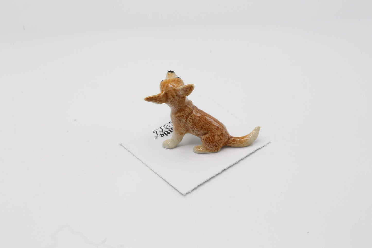 Rascal Chihuahua Puppy Porcelain Miniature