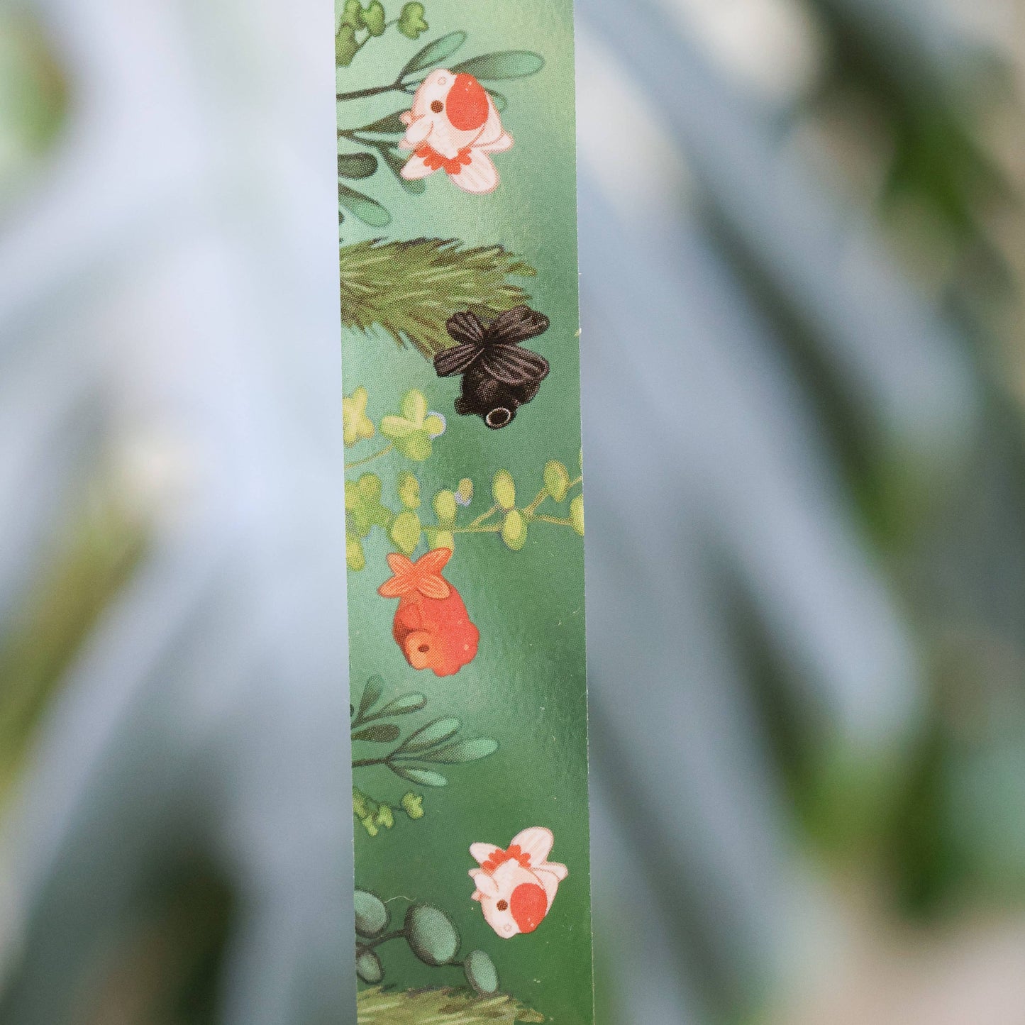 PET Tape (Transparent) First Splash Kit - Goldfish