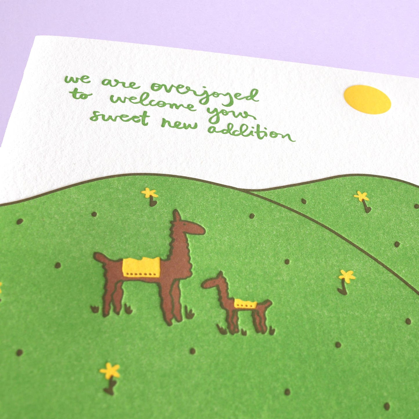 Llama Mama Field - Letterpress Greeting Card
