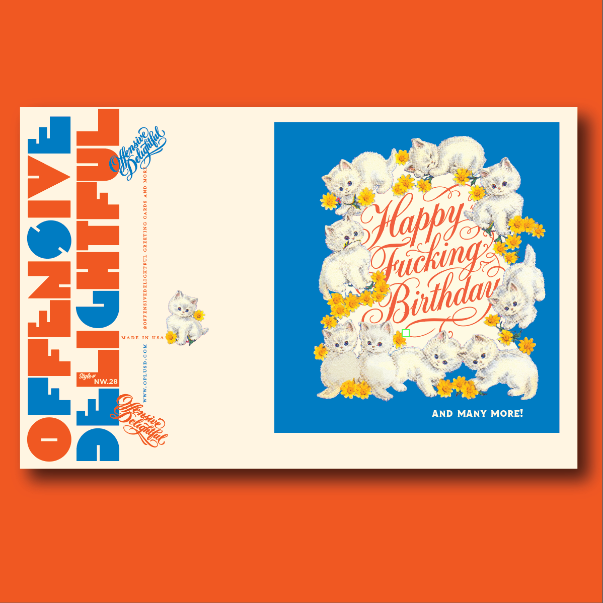 KITTENS BIRTHDAY MORE!