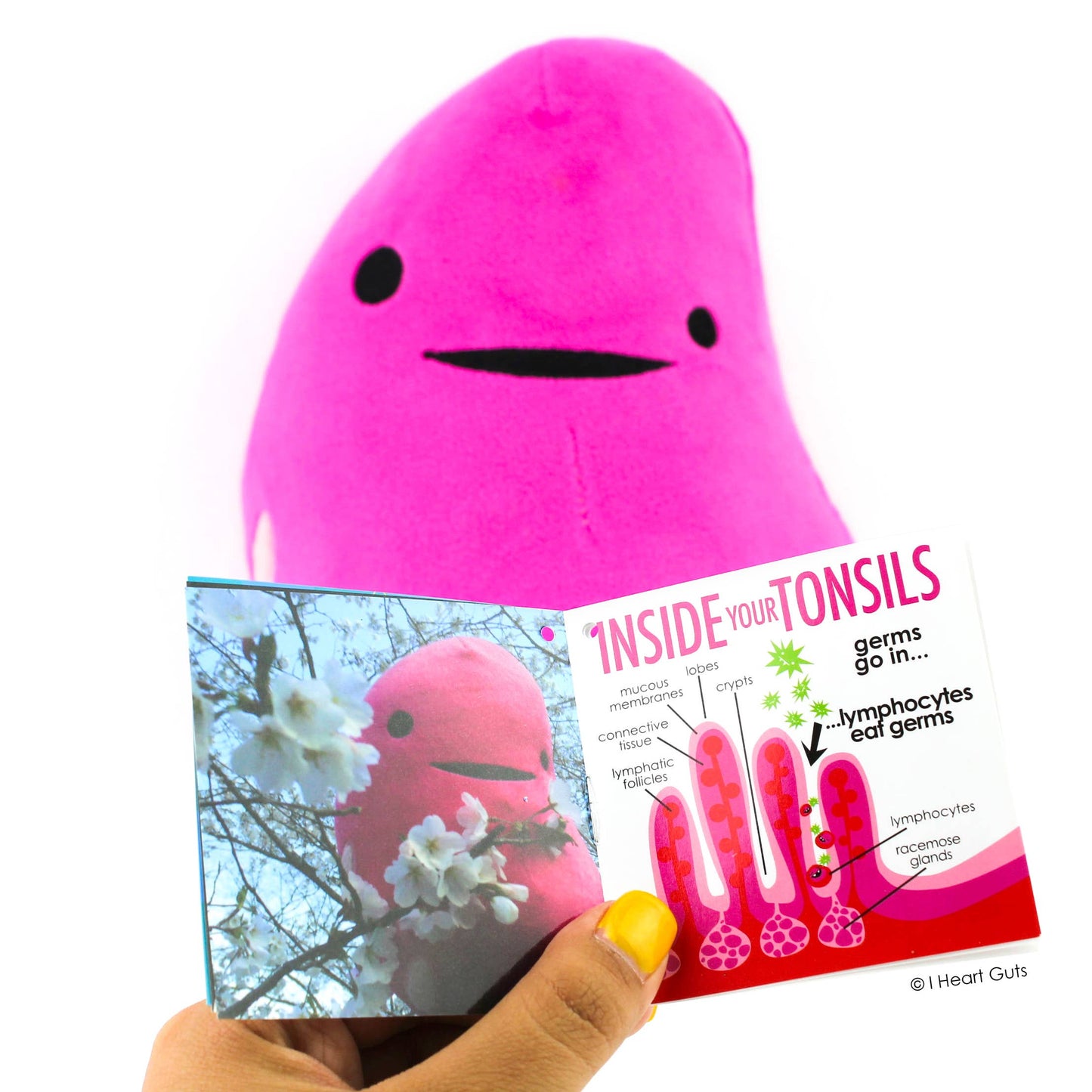Tonsil Plush - You're Swell