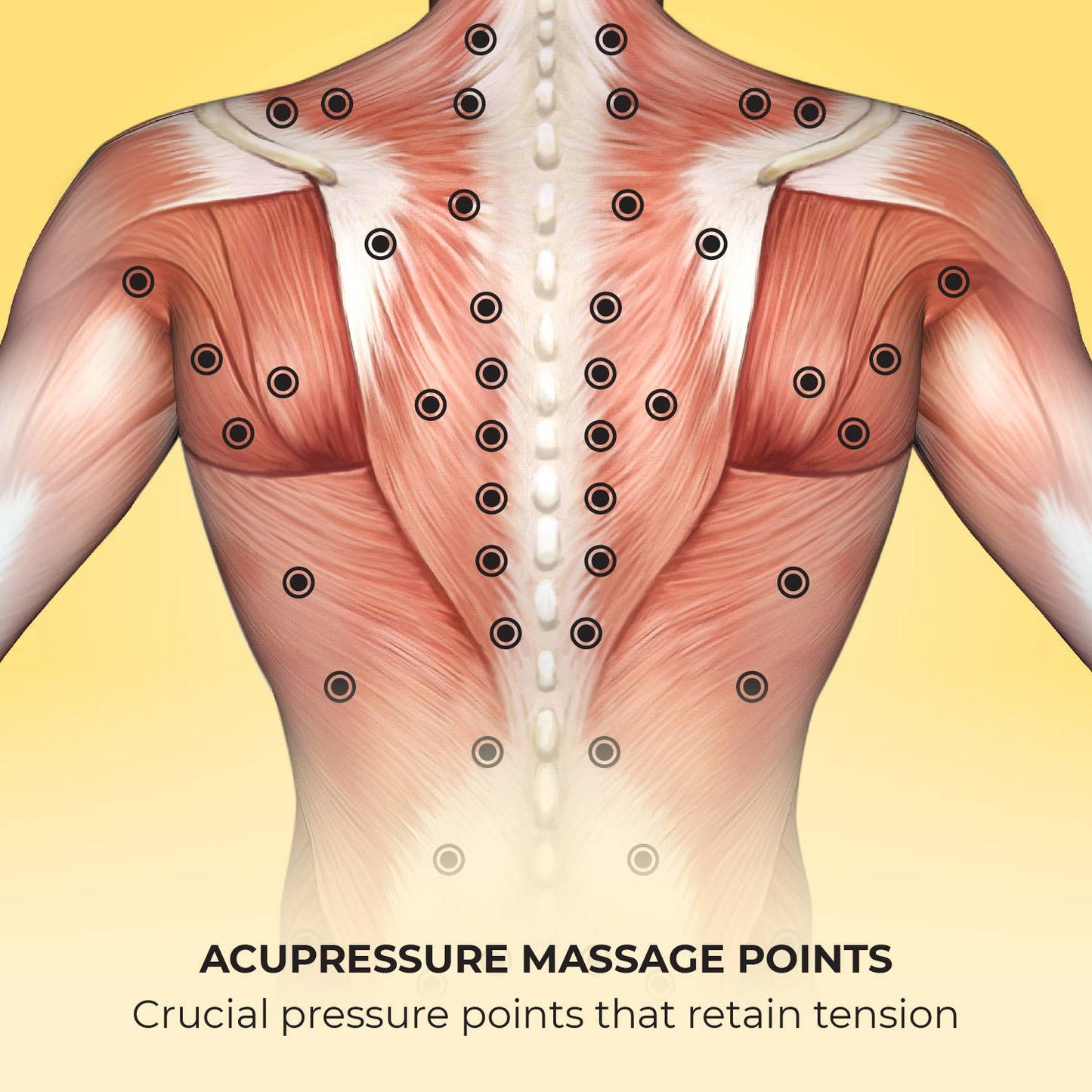 Lindo Shiatsu Back Massager