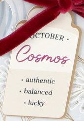 Cosmos Floral Pop-up Card with Bow Embellishment