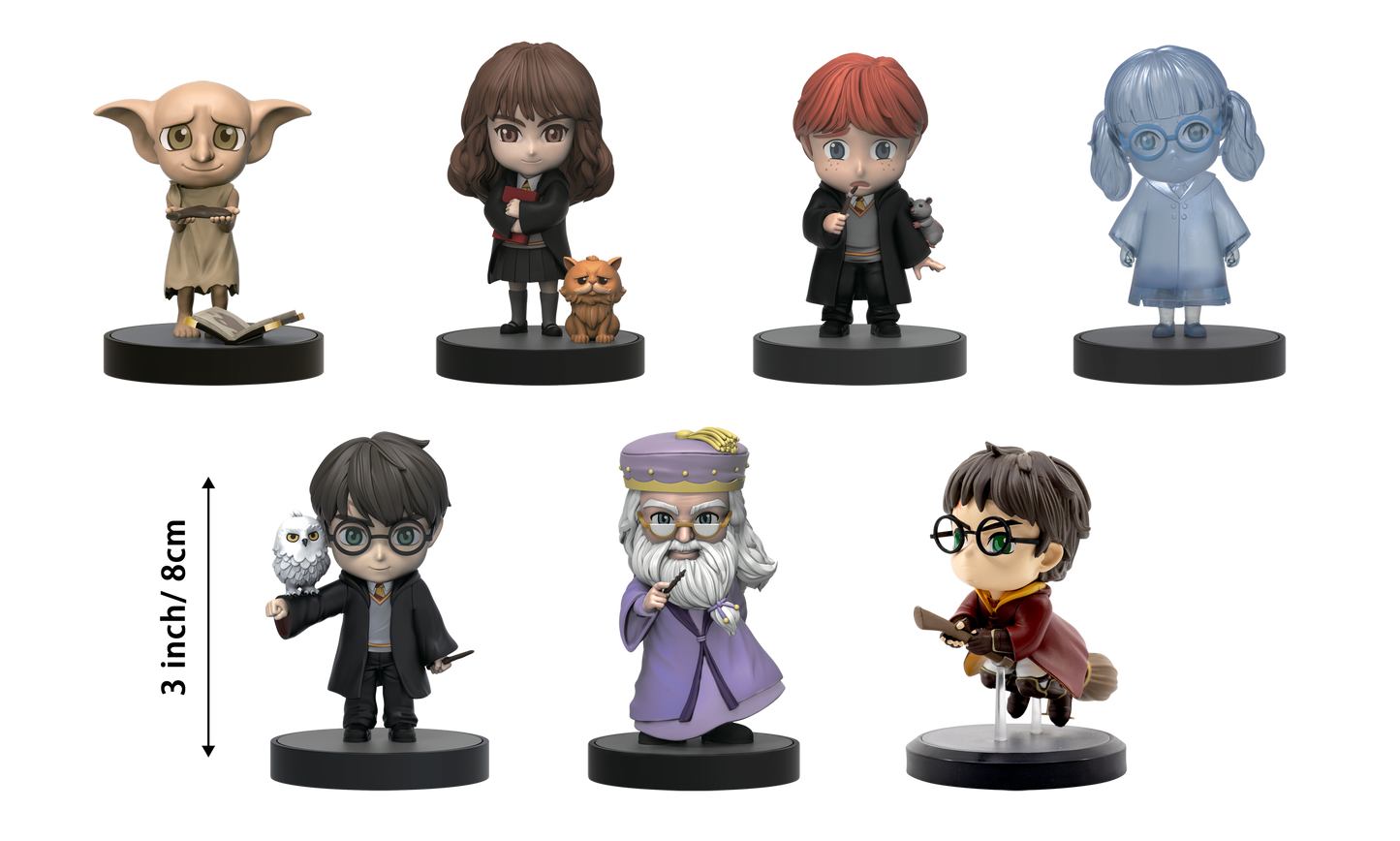 Wizarding World Harry Potter Hero Box - Blind Box
